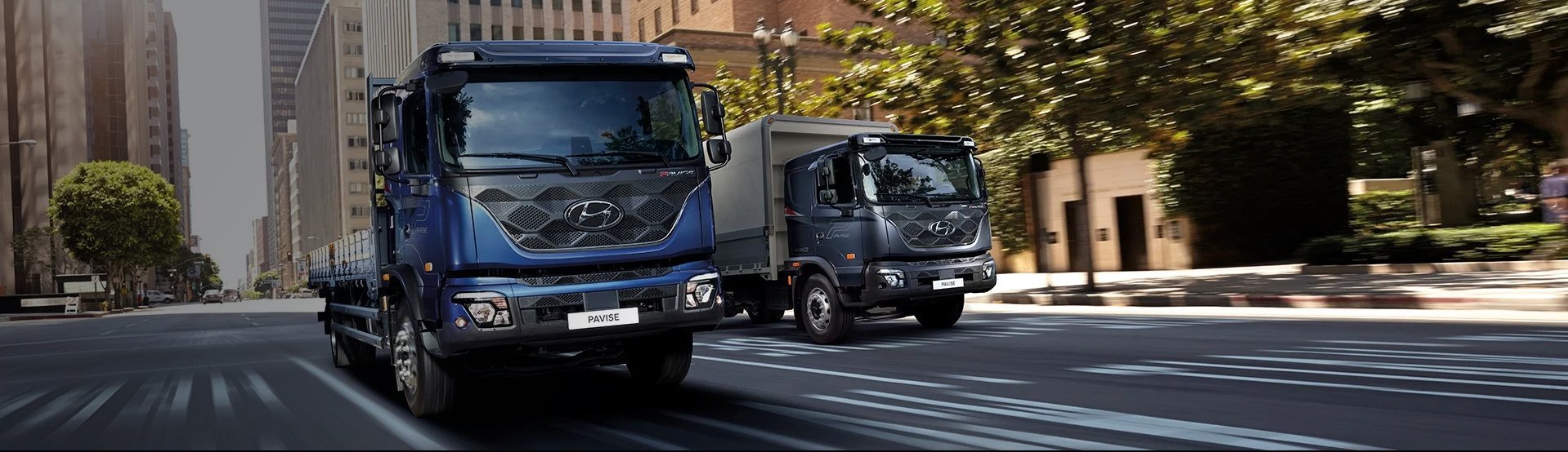 PAVISE short - Ерекшеліктері